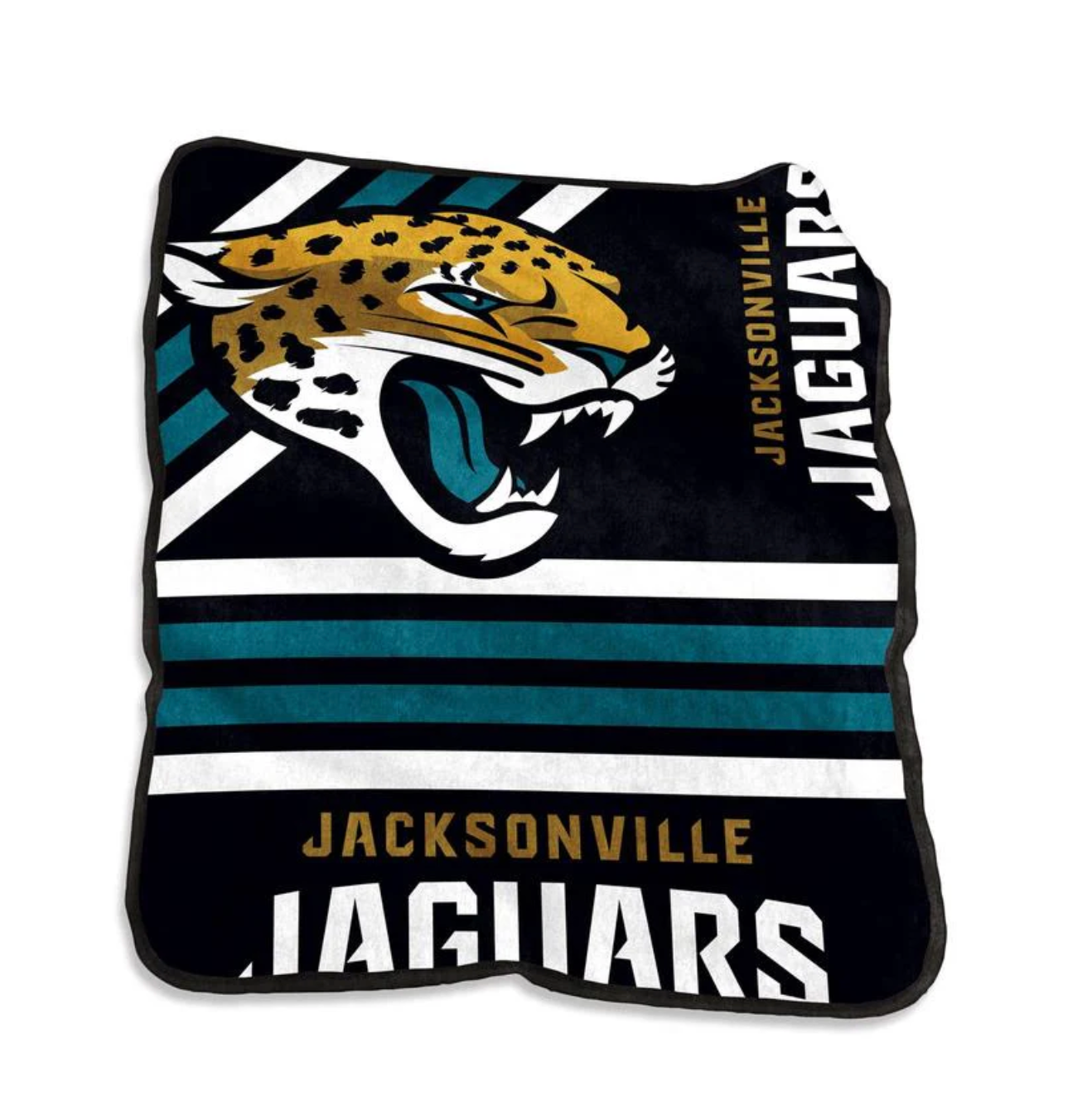 NFL Plush Throw Blanket